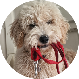 riddles-round-256 | Perchpole Media Ridley Round